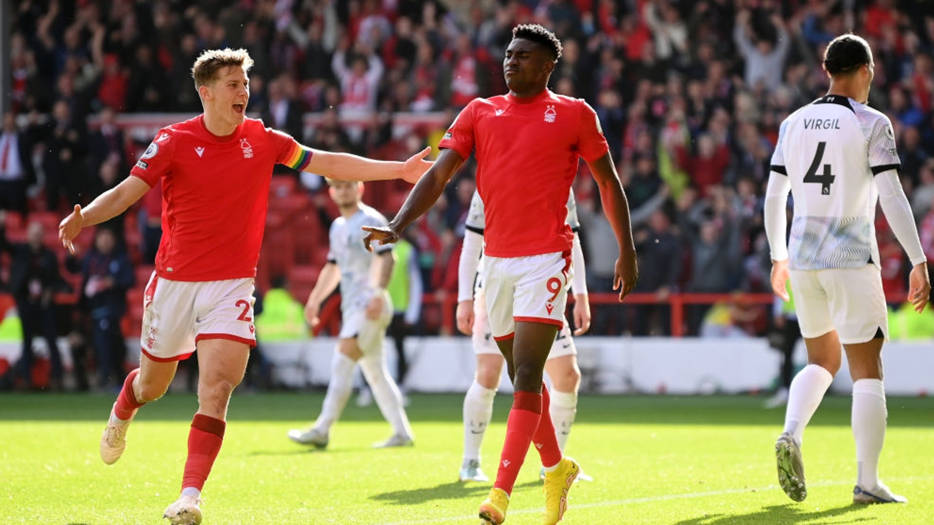 保利尼就采 保利尼就采