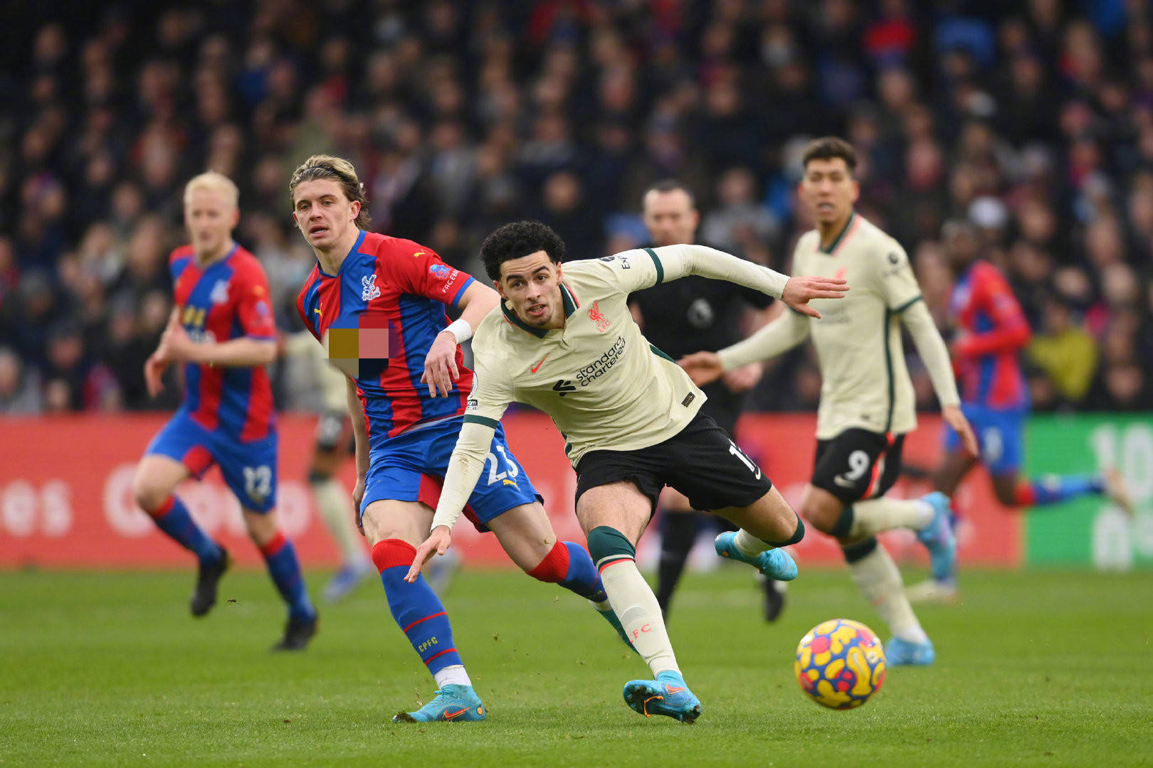 他们迅速调 他们迅速调